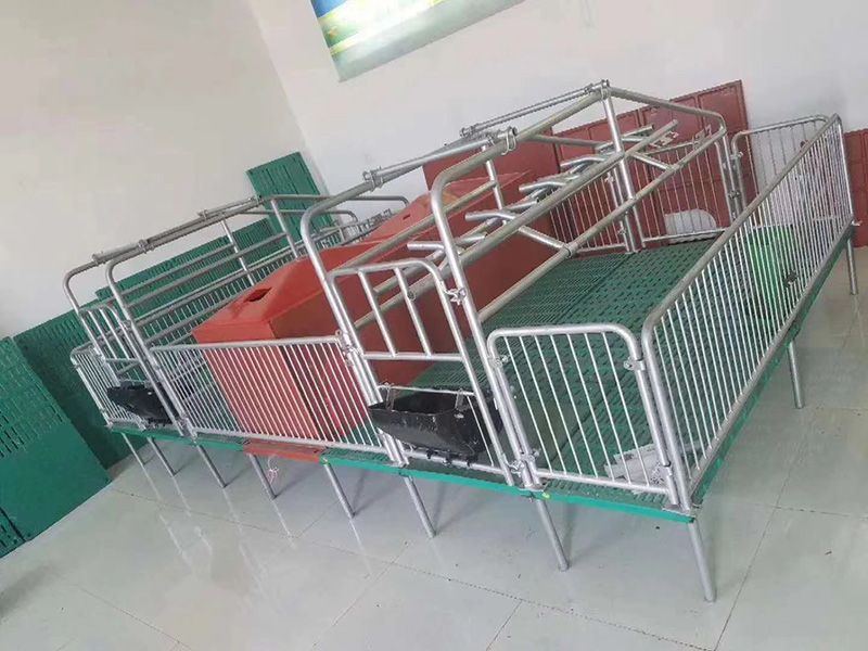 客戶案例展示
